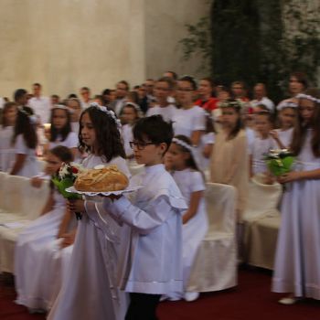 2018-05-27 11.44.04-1.jpg