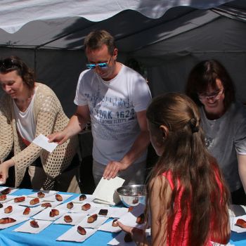 2018-05-27 13.29.57.jpg