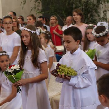 2018-05-27 11.44.25.jpg